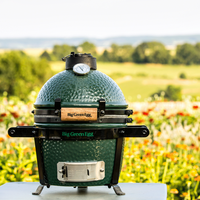 Mini Big Green Egg - Image 3