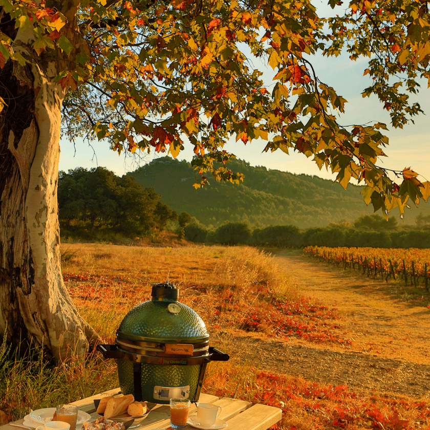 MiniMax Big Green Egg Package - Image 3